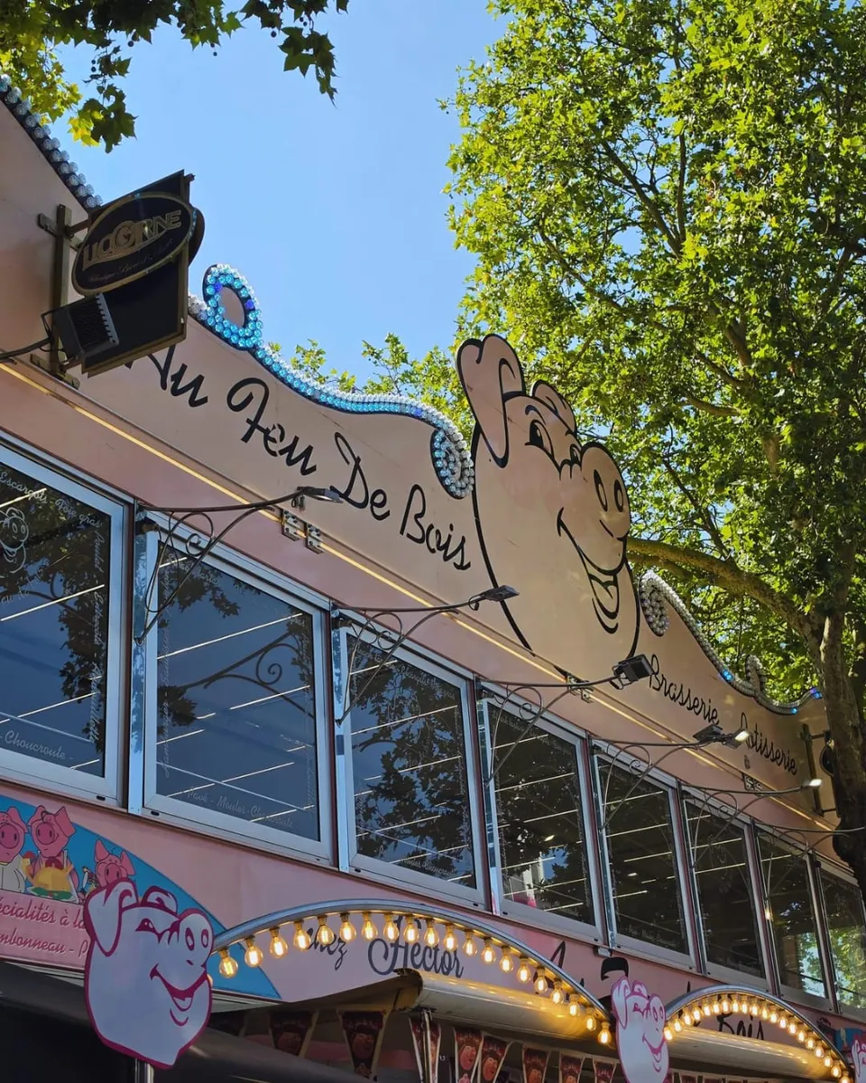 Contre-plongée sur l'enseigne Au Feu De Bois, son lettrage manuscrit et la grande tête de cochon souriante entourée d'ampoules, devant le feuillage des platanes.